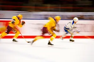 Stockholm Prints: Professional hockey match in Stockholm's Globen Arena with players