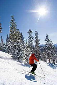 Tourist Resort Prints: Side profile of a man skiing on snow, Lake Tahoe, California, USA