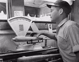 Measuring Prints: Side profile of a young man weighing a baseball bat in a baseball bat factory, 1951