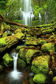 Hike Prints: Proxy Falls in the Three Sisters Wilderness in the Willamette National Forest in Oregon