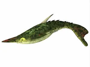 Full Length Prints: Pteraspis is an extinct genus of jawless fish that lived in the Devonian Period