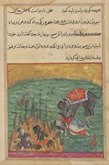 Story Prints: As punishment, the jesters wife and the Zangi are thrown into fire and the emirs wife