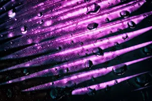 Textile Prints: A purple abstract macro background with a gradient pattern