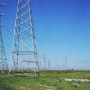 Multitude Prints: Pylons in a field