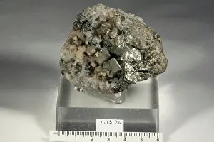 Mineral Prints: Pyrite. minerals. North America; USA; Colorado; Gilpin County; Central City