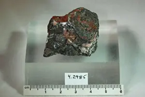 Mineral Prints: Pyrobelonite. minerals. Wales; Cornelly Glam, Ty Coch, Gwaer Coch Manganese Mine