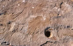 Arabian Prints: Qatar, Fuhairat, Ancient rock engravings of animals