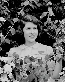Vines Prints: Queen Elizabeth in Syringe. The Queen as Princess Elizabeth at 31 in 1939