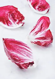 Pink Prints: Radicchio leaves on white marble countertop. Fresh salad leaves