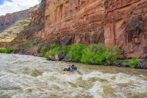 Dinosaur Prints: Rafting the Yampa