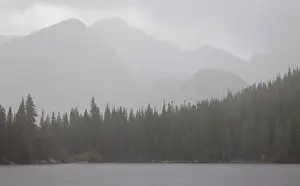 Soft Light Prints: Rain and hail over Bear Lake, Long's Peak, RMNP