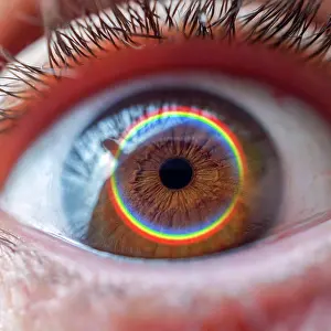 Lgbt Prints: rainbow on the brown eye, man eye