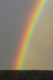 Diverse Prints: Rainbow in Summer, Grossheubach, Untermain, Bavaria, Germany, Europe
