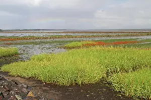 Mind Prints: Rainbow above the Wadden Sea in front of Keitum Rainbow over the Wadden Sea in front of Keitum