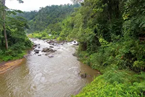 Wildlife Conservation Prints: Rainforest River, Sinharaja National Park Rain Forest