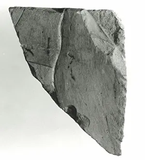 Limestone Prints: Raised relief fragment 664-610 B