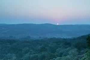Sun Rise Prints: Ranthambhore National Park forest at sunrise Ranthambhore Rajasthan India