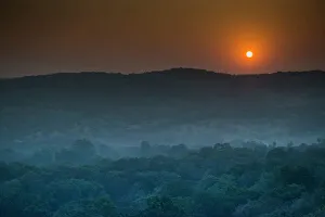 Sun Rise Prints: Ranthambhore National Park forest at sunset Ranthambhore Rajasthan India