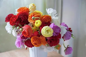 Contrast Prints: Ranunculus, Persian ranunculus