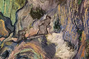 Vincent Van Gogh Prints: Detail of Ravine; 1889 Oil on canvas Vincent van Gogh Dutch worked in France; 1853-1890