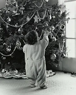 Curiosity Prints: Rear view of a boy holding a decorative ornament on a Christmas tree