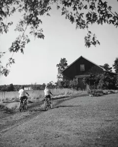 Tall Grass Prints: Rear view of two girls riding bicycles