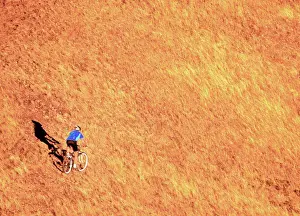 Out Door Prints: Rear view of a person riding a bicycle