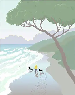 Unrecognisable Prints: Rear view of a person throwing stick for two dogs on the beach