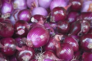 Salad Prints: Red onions for sale at the open air market held in Bergerac, France