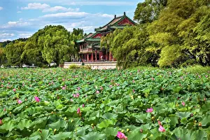 Imperial Prints: Red Pavilion overlooks Lotus Pads in Garden pond, Summer Palace, Beijing, China