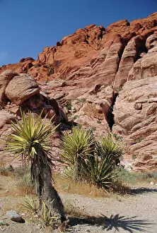 Nevada Prints: Red Rock Canyon, Spring Mountains, Mojave Desert, near Las Vegas, Nevada, USA
