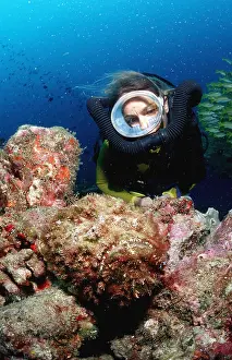 Dangerous Prints: Reef stonefish and Scuba diver Synanceia verrucosa