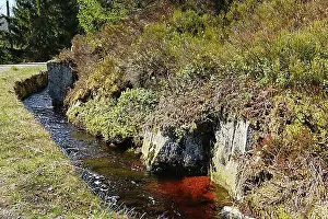 Natural Preserve Prints: Rehberger Graben, moat, Geopark, St