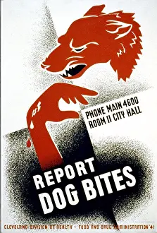 Archival Illustrations Prints: Report dog bites circa 1941