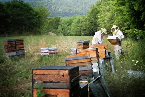 Breeding Prints: Reportage on a beekeeper in Haute-Savoie