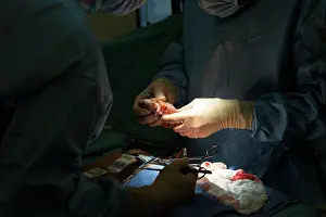 Surgery Prints: Reportage on a kidney transplant in the urology service of Nice Hospital