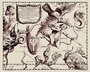 Stars Prints: A representation of the constellation of Scutum from the Firmamentum Sobiescianum sive Uranographia of Johannes