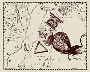 Altar Prints: A representation of the constellation of Triangulum Australe