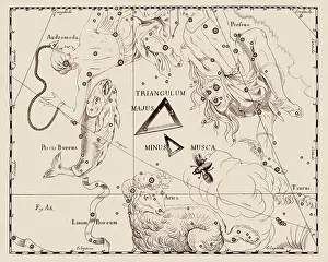 Stars Prints: A representation of the constellation of Triangulum from the Firmamentum Sobiescianum sive Uranographia of Johannes