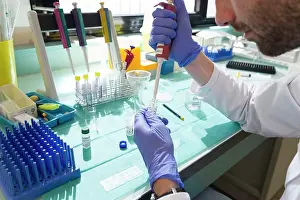 Examination Prints: Reproductive biology service, Nice