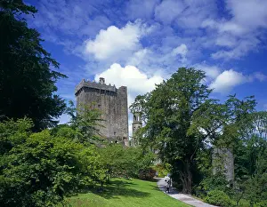 Cork Prints: Republic of Ireland, County Cork, Blarney. A view up the hill to Blarney Castle