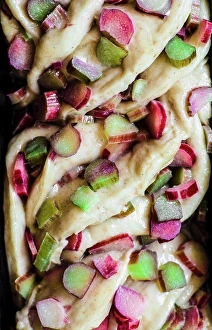 Vegan Prints: Rhubarb brioche twisted raw dough macro