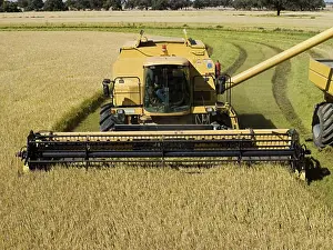 Gear Prints: Rice Harvesting, Australia