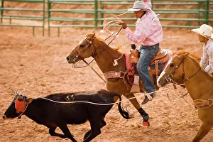 Unitedstates Prints: riders compete in the Team Steer Roping event