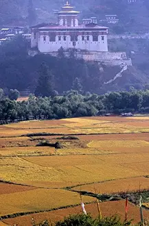 Central Asia Prints: Rinpung Dzong and the fields, Paro, Bhutan