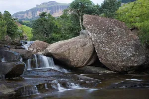 African Photograph Prints: Riverine scene. Cascades. Royal Natal National Park