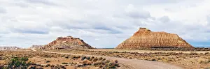 Lonely Prints: Empty road in desert with dry vegetation