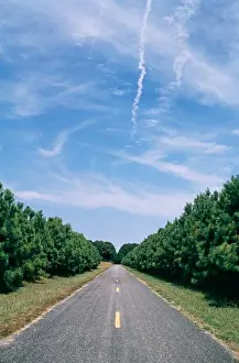 Traveling Prints: Road, disappearing into the distance