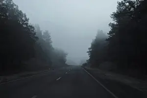 The road in the foggy forest