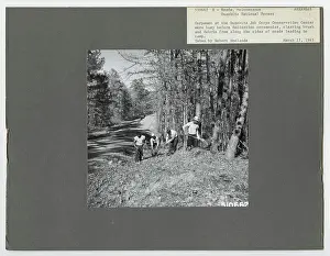 Road Maintenance - Arizona. Photographs Relating to National Forests